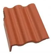 Synus korall krajná pravá 